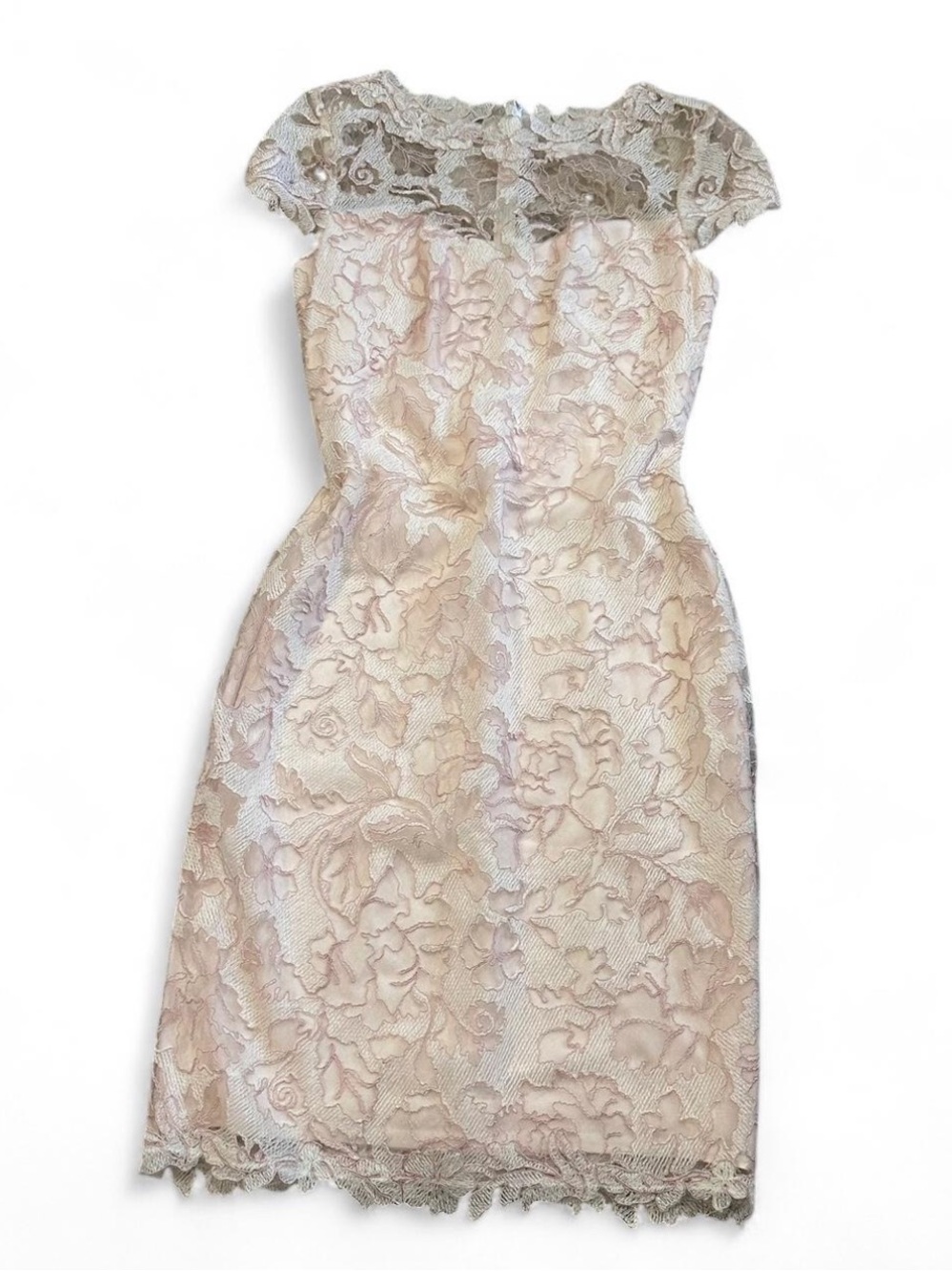 Tadashi Shoji Blush Lace Midi Dress